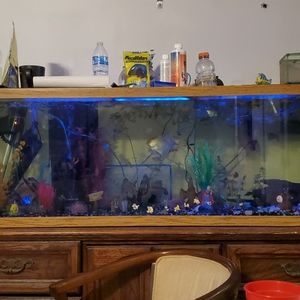 110 gallon tank